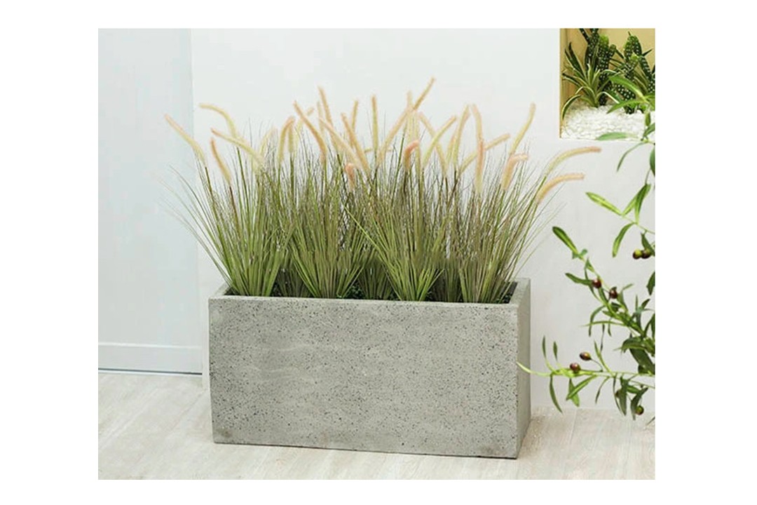 Bồn cỏ đuôi chồn 80x40x25cm